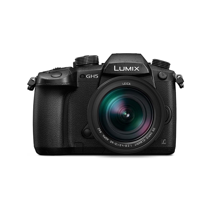 Panasonic Lumix GH5L