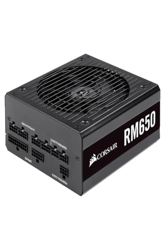 Corsair RM650 650W 80 Plus Gold